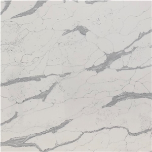 Calacatta Pearl Quartz