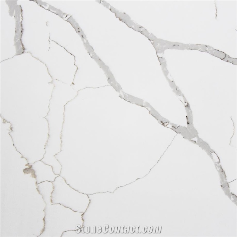 Statuarietto Venato Quartz Tile