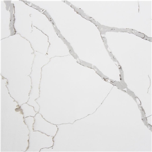 Statuarietto Venato Quartz Tile