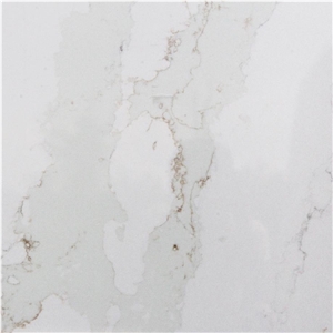 Calacatta Moonlight Quartz