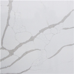 Calacatta Vagli Quartz