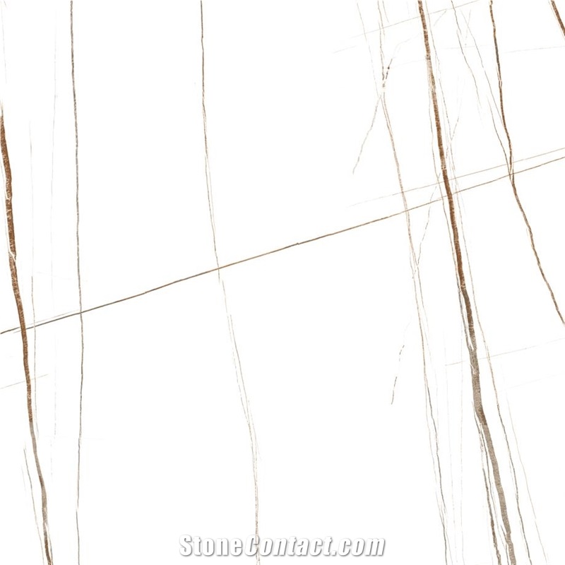 Golden Spider Sintered Stone Tile