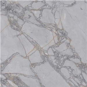 Alba Calacatta Marble