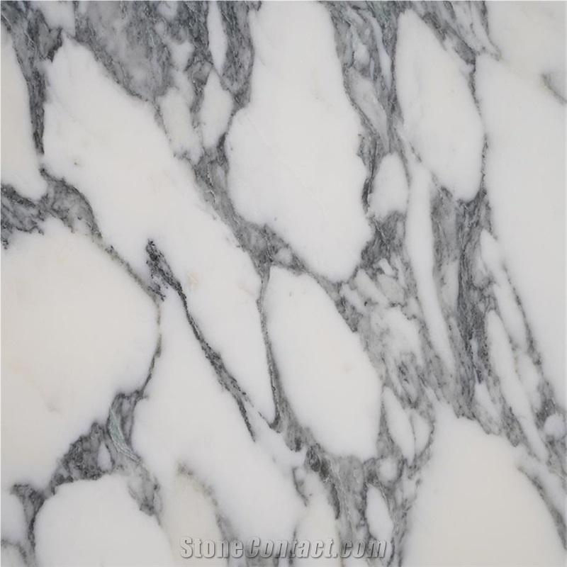 Calacatta Corchia Marble importance=