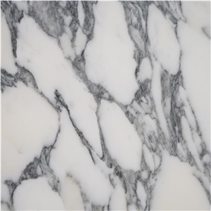 Calacatta Corchia Marble