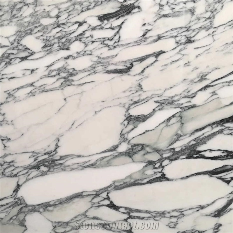 Calacatta Corchia Marble Tile