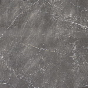 Grigio Stardust Marble