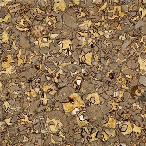 Septarium Semiprecious Stone