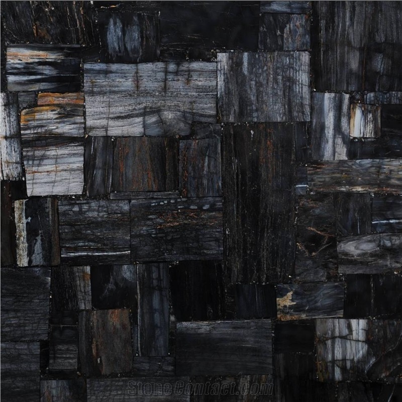 Petrified Wood Black Jurassic importance=