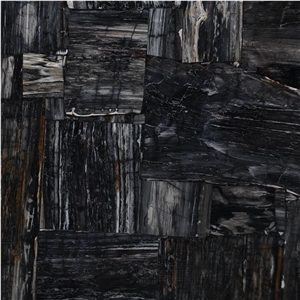Petrified Wood Black Retro