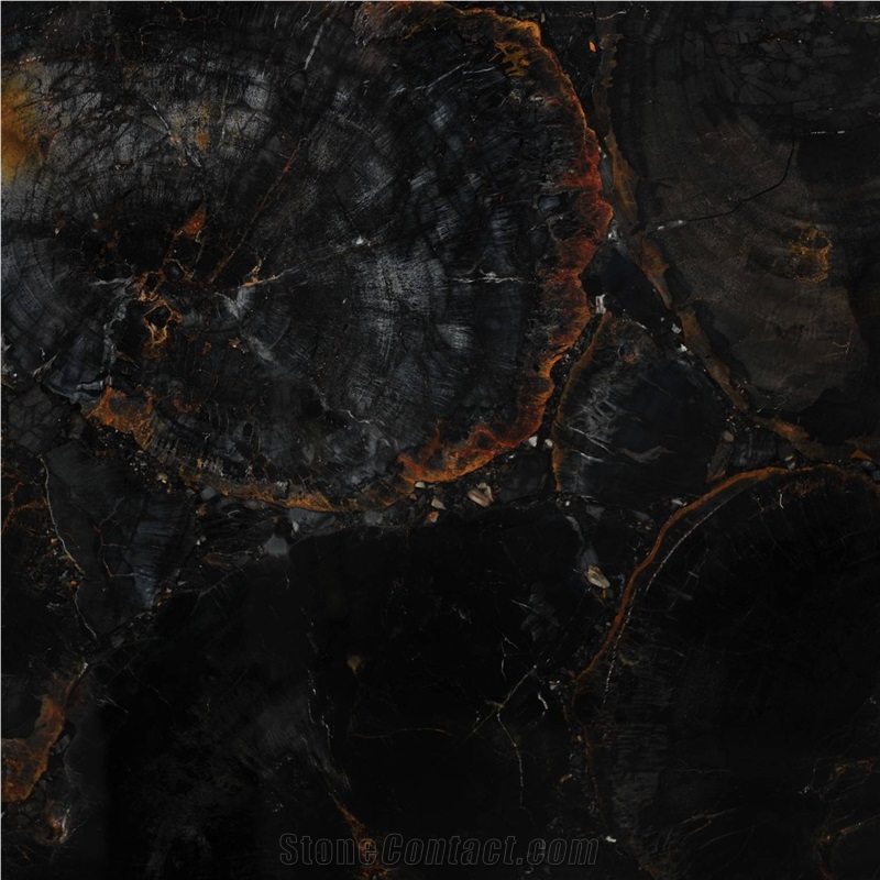 Black Petrified Wood Semiprecious Stone importance=