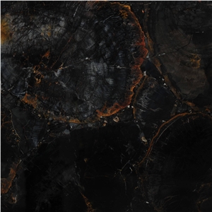 Black Petrified Wood Semiprecious Stone