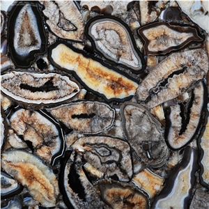 Agate Phoenix Semiprecious Stone