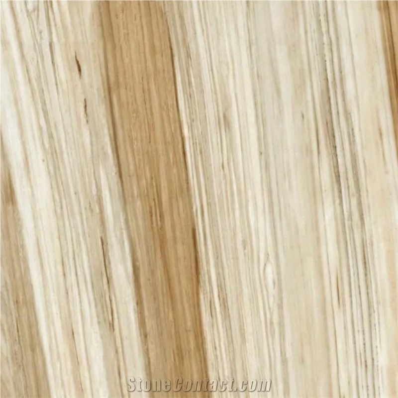 Elegance Arena Porcelain importance=