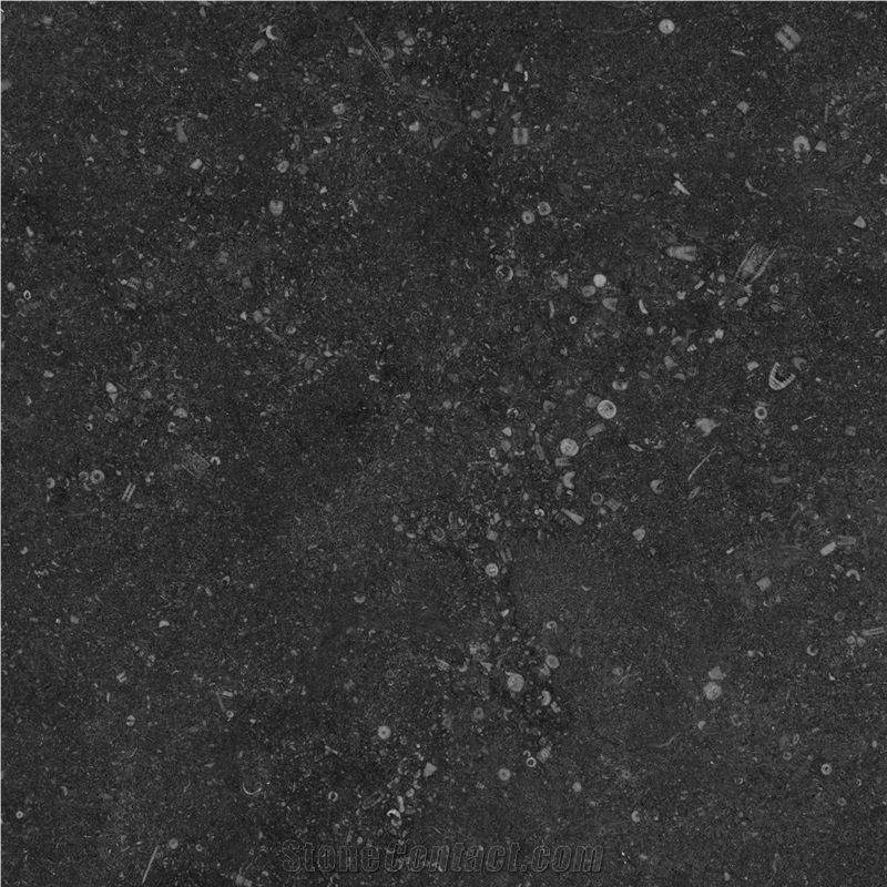 Fossil Grey importance=