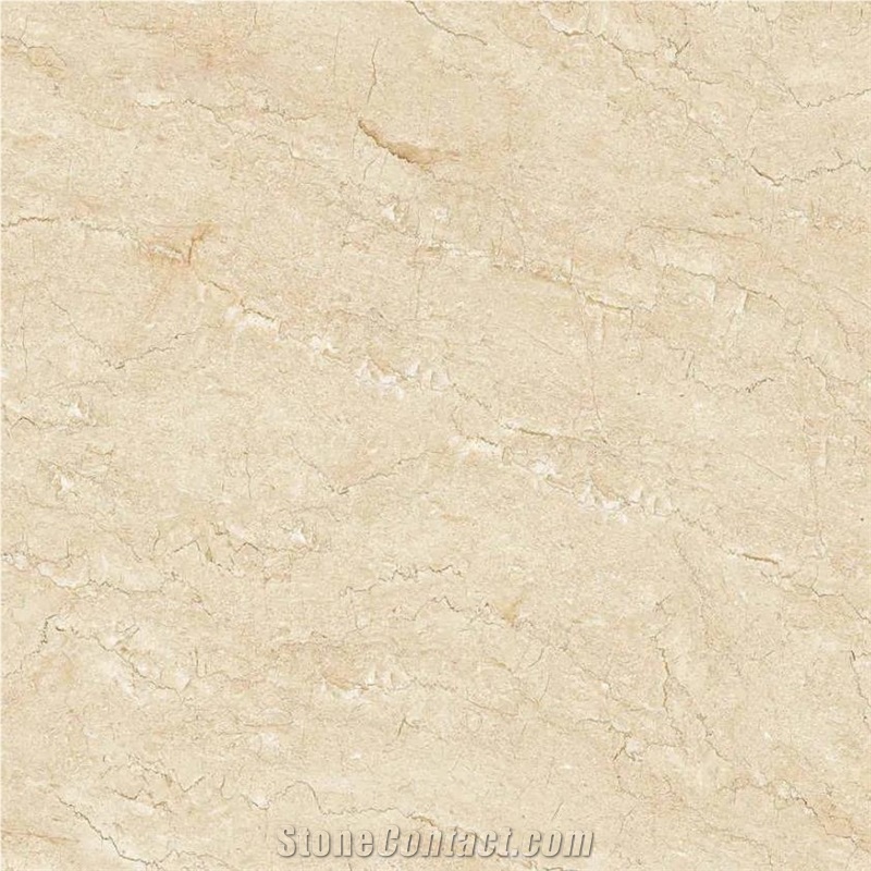Lyon Beige Porcelain importance=