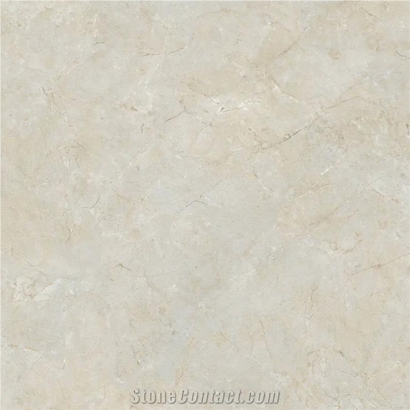 Spanish Marfil Porcelain importance=
