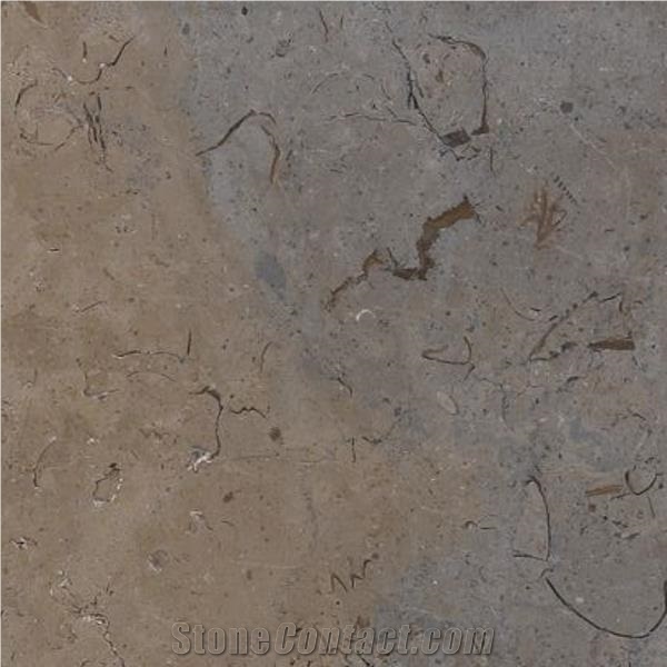 Amazona Estremadura Limestone importance=