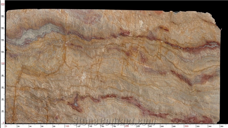 Aurora Dorado Quartzite Slab