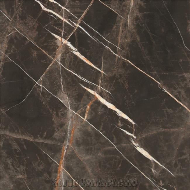 Morocco Sahara Brown Marble importance=