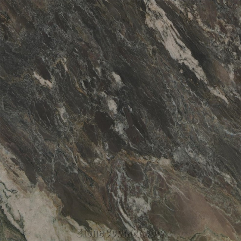 Nero Picasso Gold Quartzite Tile