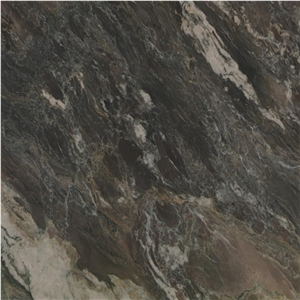 Nero Picasso Gold Quartzite Tile