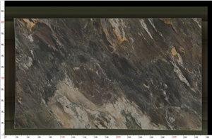 Nero Picasso Gold Quartzite Slab