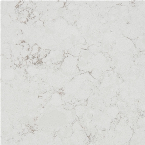 Noble Arco Quartz