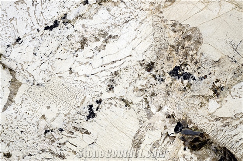 Bianco Alpinus Granite Granite Restaurant Panel Slabs Tiles