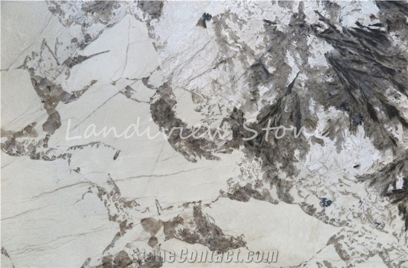 Bianco Alpinus Granite Granite Restaurant Panel Slabs Tiles