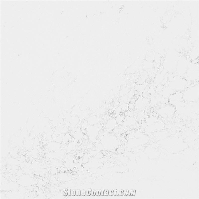 Calacatta Valiente Quartz
