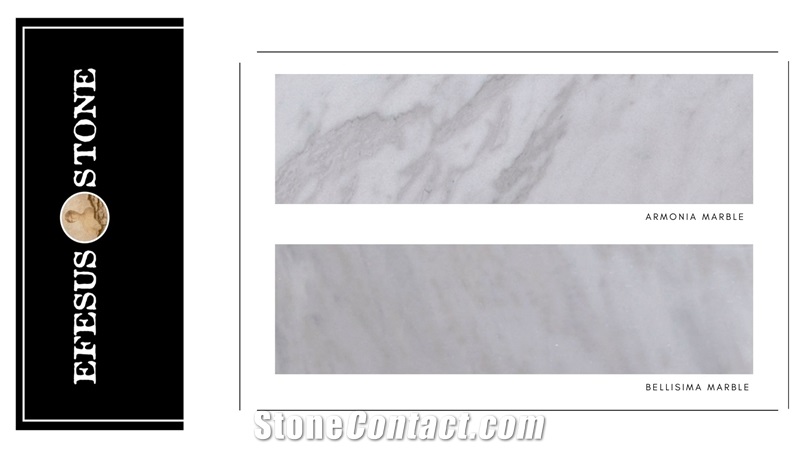 Armonia White - Karacasu White Marble