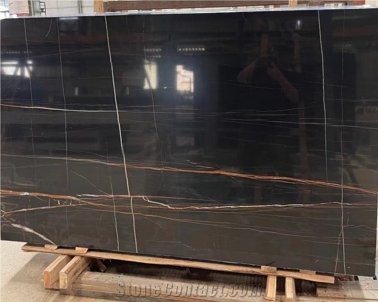 Natural Black Stone Noir Aziza Marble Slab