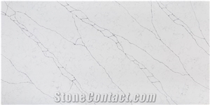 White Quartz Stone Slabs Alaska Bianca Quartz Tiles White Quartz Stone Slabs Alaska Bianca Quartz Tiles
