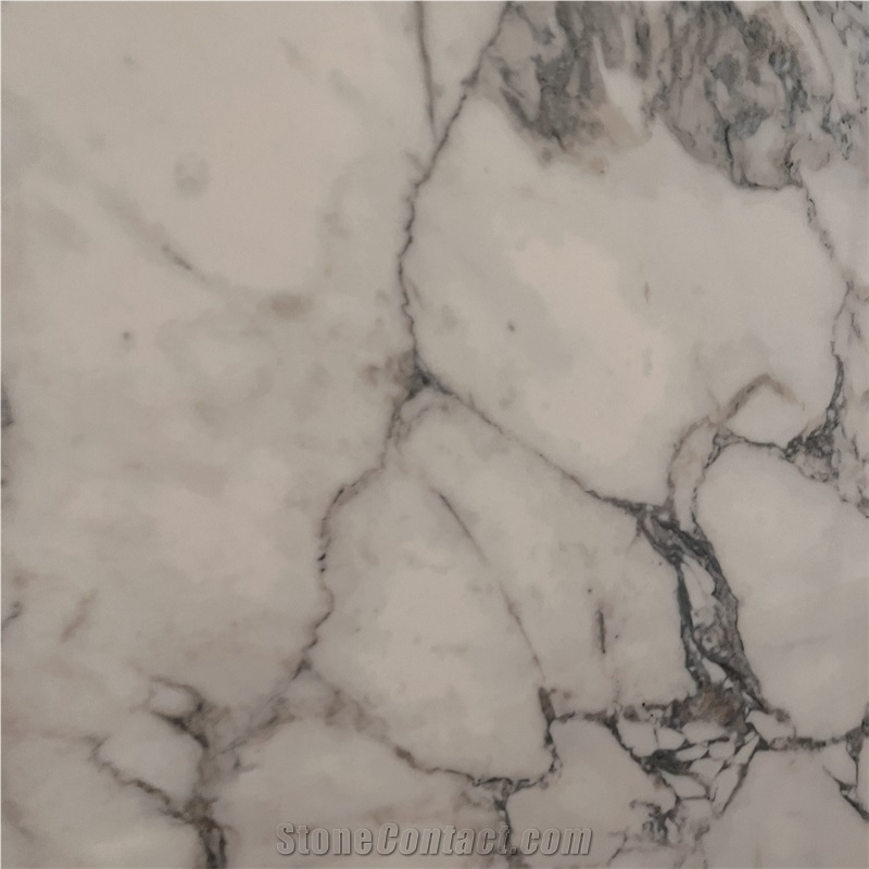 High Polished White Sintered Stone Slabs Interior Wall Decor