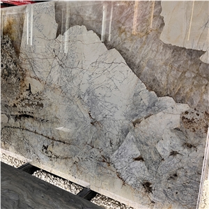 Best Quality Brazil Exotic Stone Patagonia Quartzite Slabs