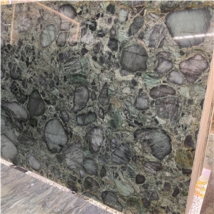 Brazil Luxury Polished Jungle Jewel Quartzite Slabs For Wall