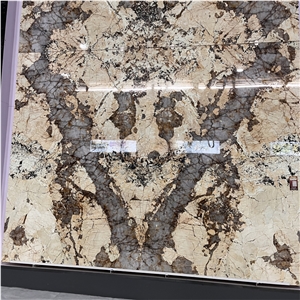 Brazil Natural Patagonia Quartzite Slab For Hotel Wall Decor