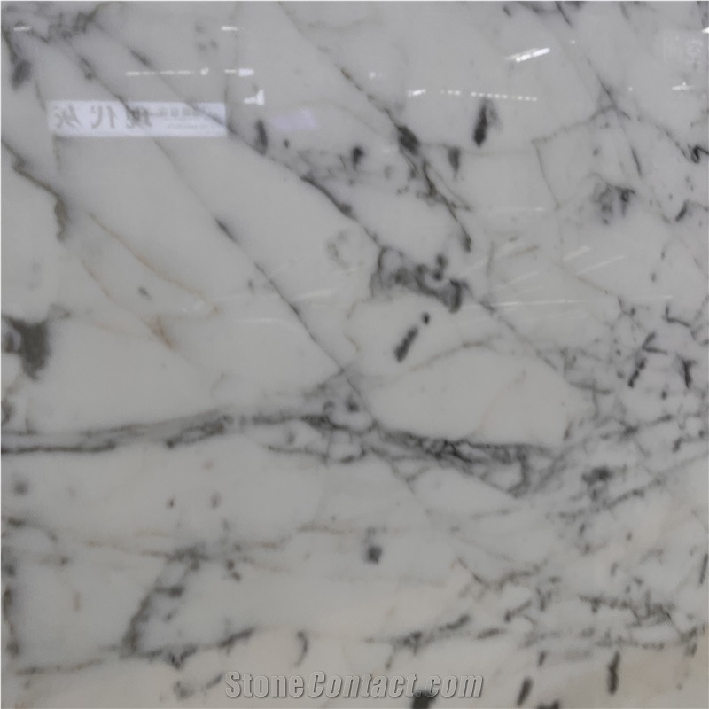 Factory Price Bianco Statuario Marble For Wall Floor Tiles