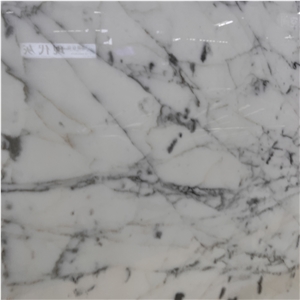 Factory Price Bianco Statuario Marble For Wall Floor Tiles