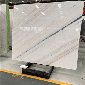 Factory Price China Dior White Marble Slab With Black Veins
