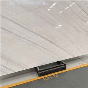 Factory Price China Dior White Marble Slab With Black Veins