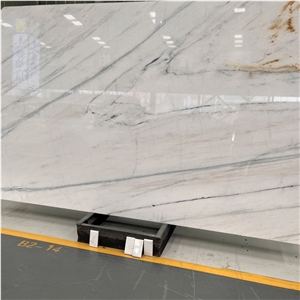 Factory Price China Dior White Marble Slab With Black Veins
