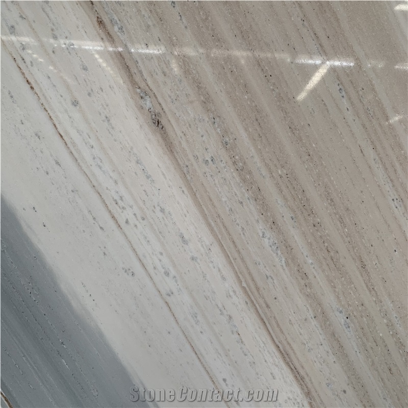 Italy Marble Palissandro Marble Slab For Indoor Floor Design