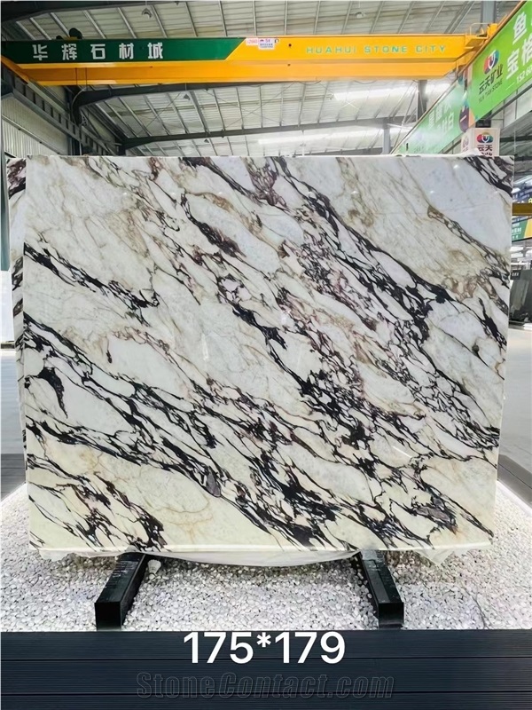 ITALY CALACATTA VIOLA MARBLE SLABS TILES BRECCIA MEDICEA