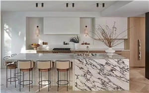 ITALY CALACATTA VIOLA MARBLE SLABS TILES BRECCIA MEDICEA