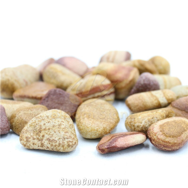 Tumbled Yellow Rainbow Sandstone Pebbles