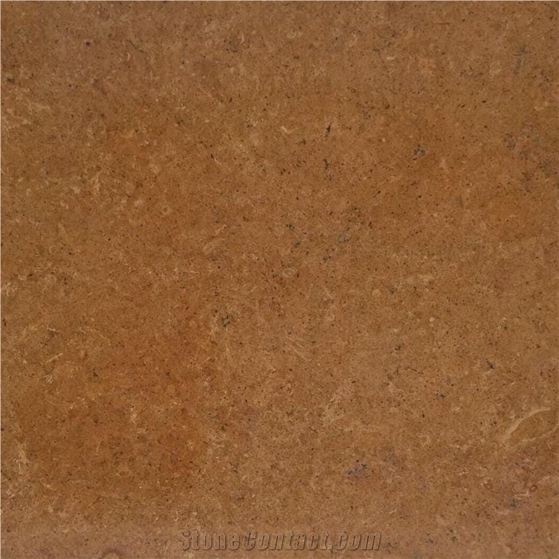 Indus Gold Marble Tiles