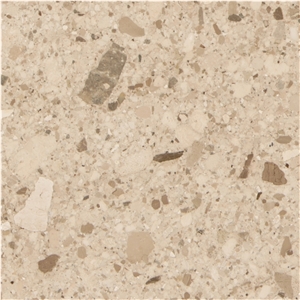 Dark Beige Breccia Tiger Extra From Albania Dark Beige Breccia Tiger Extra From Albania