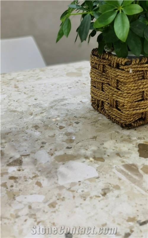 Dark Beige Breccia Tiger Extra From Albania